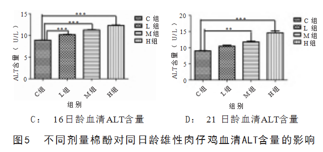 e5ca0bd2ac305b9068546f5f0cc86da.png