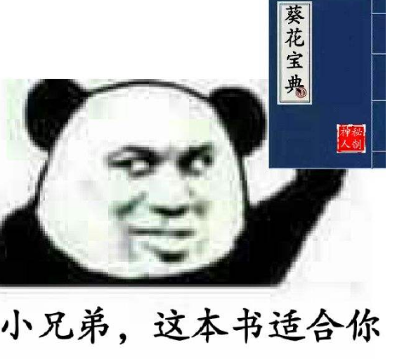 关于如何降低查重率的小技巧分享（“葵花宝典”之快速降重法）.png