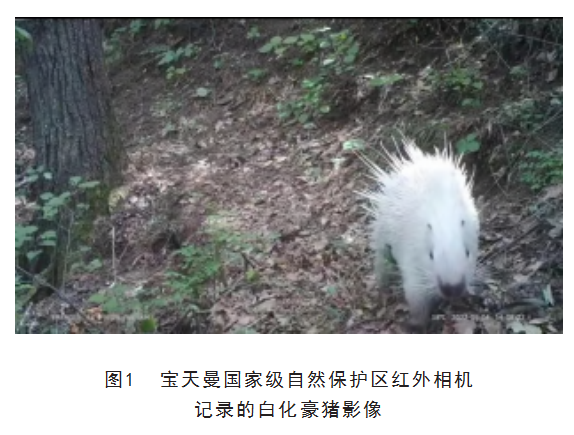 36d2ef94fe56008fff6e927fa2dfaca.png