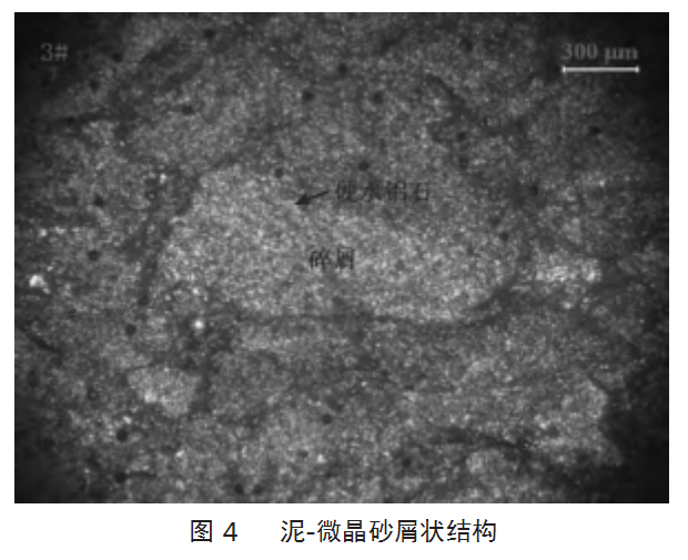 f310a3ae25b9171fc88fe33a1e86e19.png