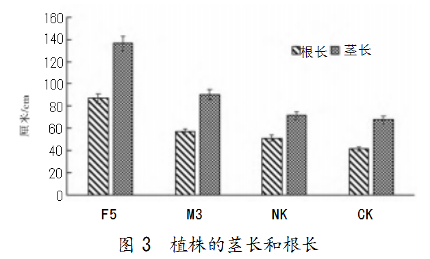 4bb90e81be219eabf8687dcb071556b.png