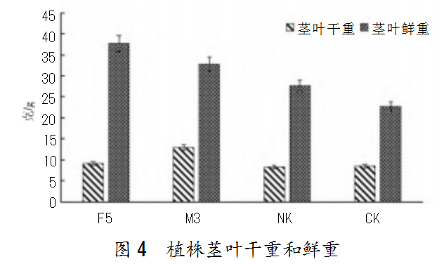 67f1fc0dc8ba9a44448c704c0c4eaa6.png
