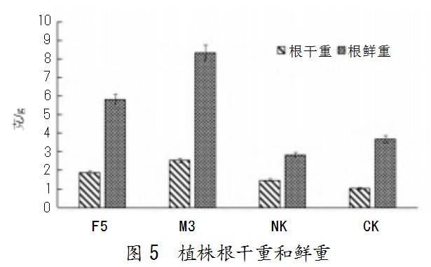 519dff97453f6dbdef6906f3758712c.png