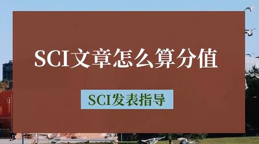 SCI分值是如何判定的（SCI文章计算分值的方法攻略）.jpg