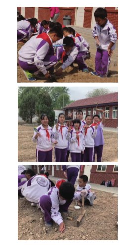 111.jpg