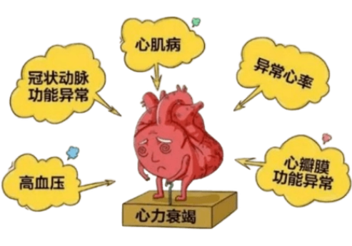 0187bebd2cc3a37b59ebb014c6b7577.png