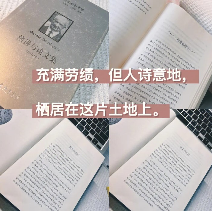 游于诗情画意间论文