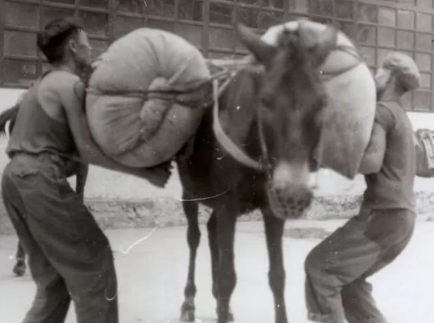 郑用之与“中制”：官营电影的去本质化考察（1938—1943）论文