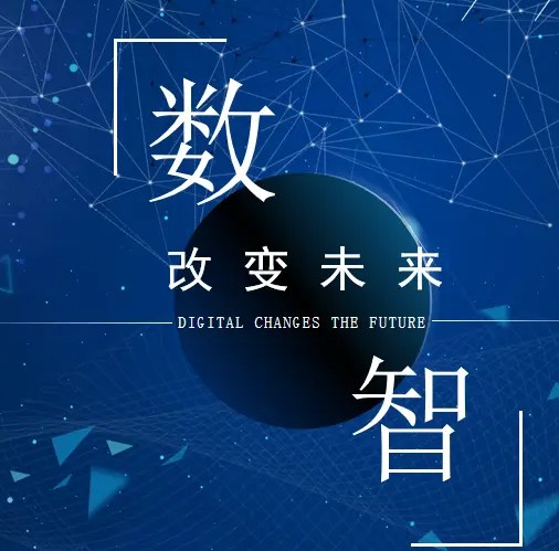 数智化变革中个体行为策略研究论文
