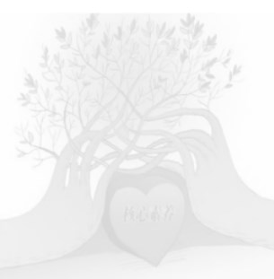 005XpTbZly1hi309xttjaj30j60j50u4.jpg