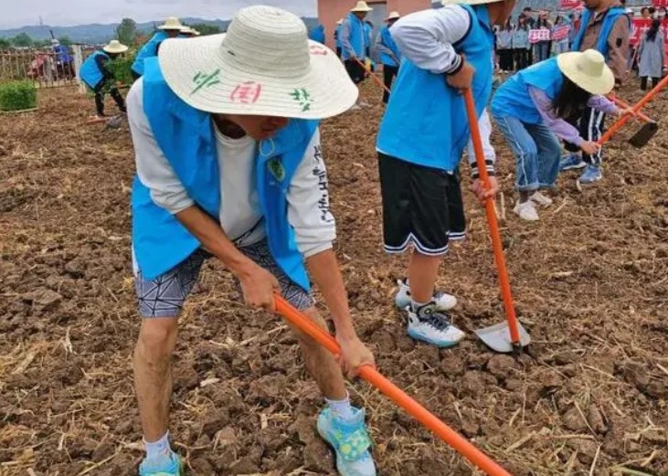 “ 五育”并举视域下大学生劳动教育的价值 意蕴及实践路径论文