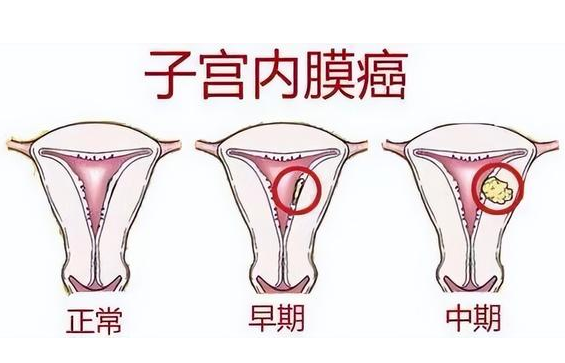 414de2a0d68dd838cc9cc364fe3ab9c.png