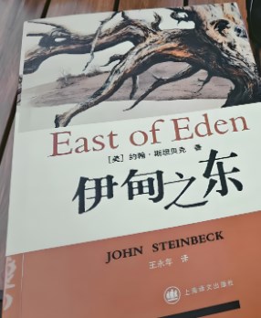 《伊甸之东》中华人形象解析论文
