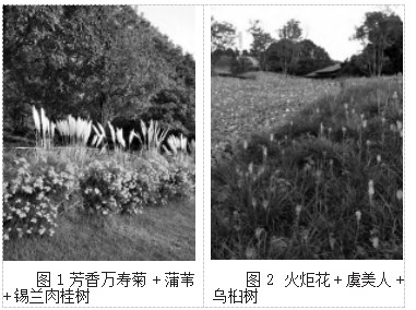 城市公园秋季植物疗愈景观的色彩应用论文
