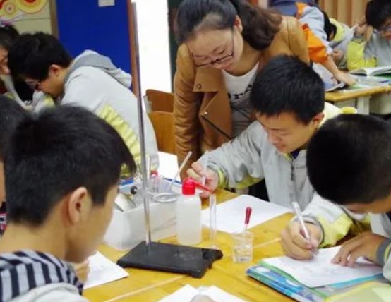 地方高校化学实验教学的现状分析与应对策略论文