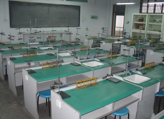 地方高校化学实验教学的现状分析与应对策略论文