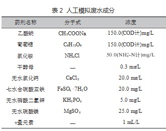 光驱动SND生化工艺研究论文