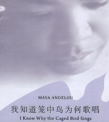 玛雅 · 安吉洛小说中的黑人女性文化身份建构论文