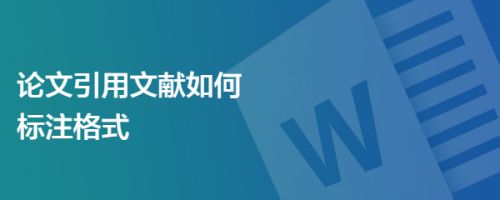 论文参考资料乱标注的后果（论文参考文献乱写会有事吗）