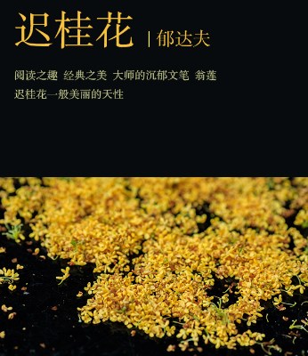乡土与救赎 ：忧郁王子的内心独白论文