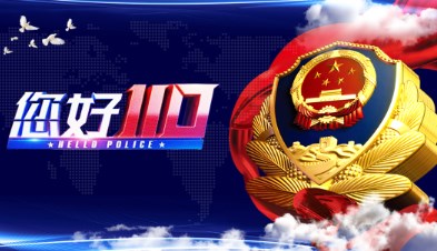 寻求多重维度的平衡：警务纪实类真人秀节目话语权的构建论文