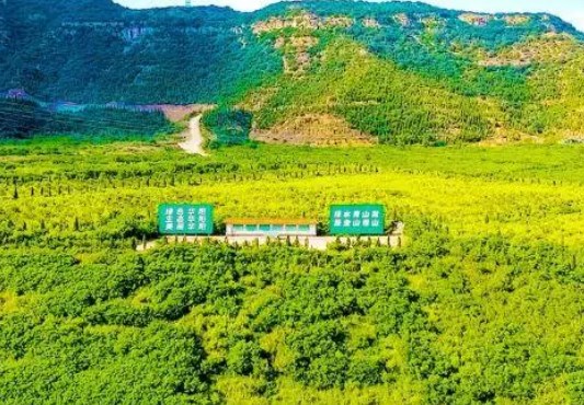 绿色智能化建设在选矿中的应用论文