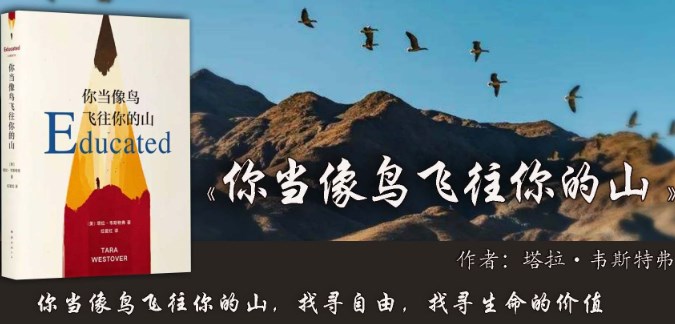 《你当像鸟飞往你的山》的叙事特点与教育启示论文