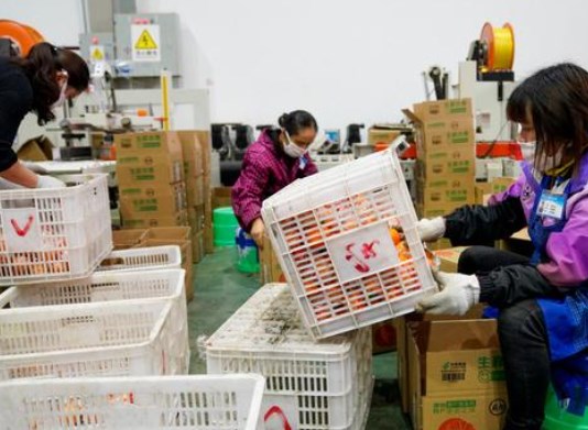 基于灰关联的白银市农产品电商物流影响因素研究论文