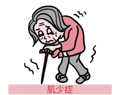 005XpTbZly1hoypumf6aqj30u00u0h08.jpg
