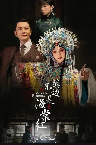 论电视剧《鬓边不是海棠红》的悲剧美学论文