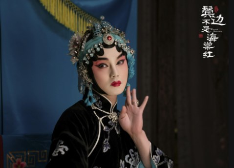 论电视剧《鬓边不是海棠红》的悲剧美学论文