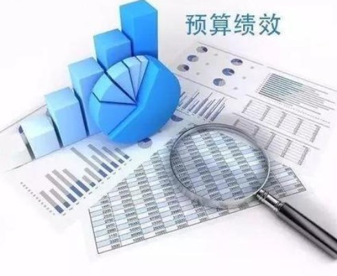 数字化背景下行政事业单位预算绩效管理论文