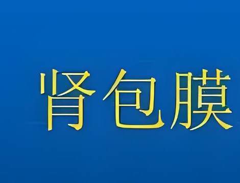 005XpTbZly1hi309xttjaj30j60j50u4.jpg