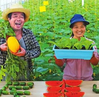 新型职业农民培育驱动体系研究论文
