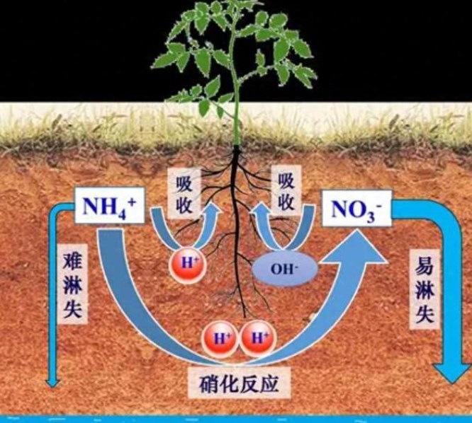 基于多元统计的某流域地表水水质分析论文