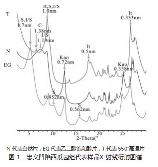 冀西北忠义凹陷西瓜园组含铀矿化层及粘土矿物特征论文