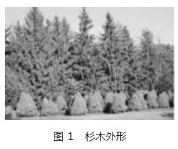 95c689b552f751db84c8a33acf027fe.png