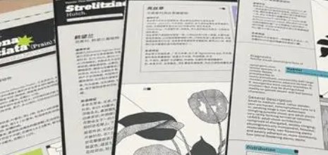 发表周刊文章有什么要求（最全周刊文章发表要求攻略）