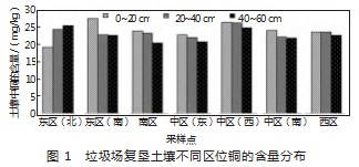 垃圾场复垦土壤重金属铜的含量与分布论文