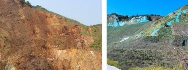 垃圾场复垦土壤重金属铜的含量与分布论文