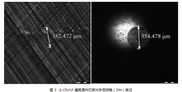纳米氮化碳油摩擦性能研究论文