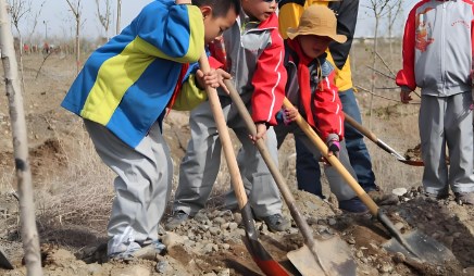 小学班主任德育工作的统合策略论文