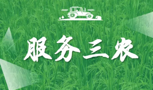 31eb443c88a7d1ad5a43cc719dfb2a1.png