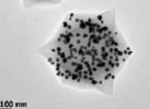 生物分子功能化纳米酶的模拟酶性质及可视化生物传感应用论文