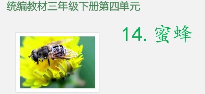 小学语文学习任务群的支持性学习工具开发与应用论文