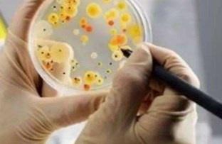 水质检测微生物指标的采样质量控制探讨论文
