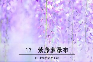 新课标下初中语文教学育人功能实现方法初探论文