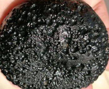 温度对ASZM型浸渍炭氯化氰防护时间影响研究论文