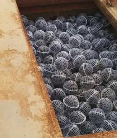 污水处理厂活性污泥的培养研究论文