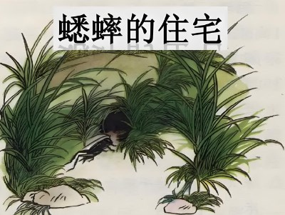 语用视域下学习任务群的定位思考与实践理路论文
